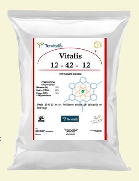 VITALIS 12-42-12